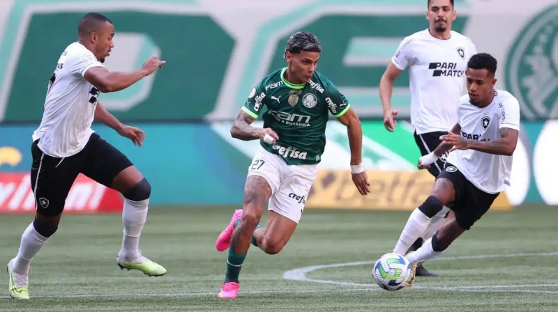 Botafogo x Palmeiras jogam hoje pela Libertadores