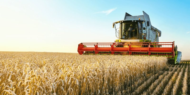 Dia do Agricultor é comemorado hoje