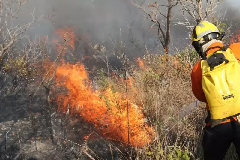 Estado de São Paulo entra em estado de emergência por risco de incêndios