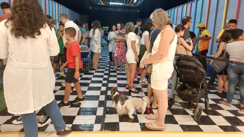 Região: shopping realiza encontro pet para cães no próximo sábado