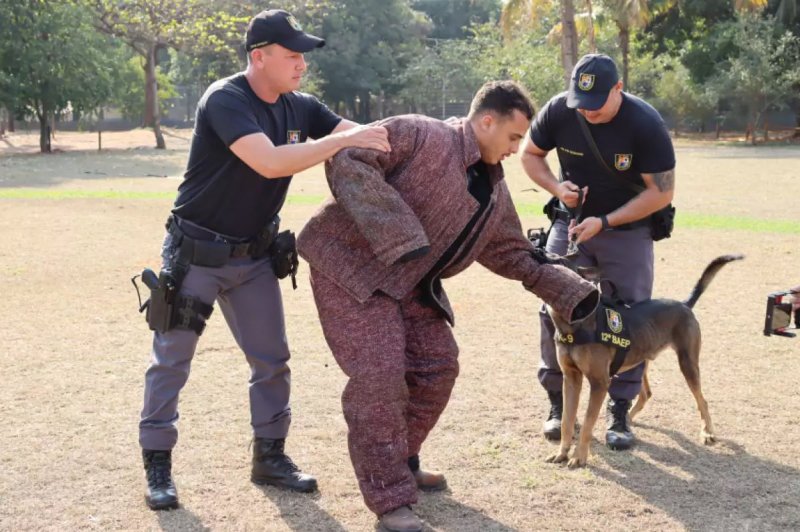 Policiais do canil dão dicas para lidar com cães soltos em ruas