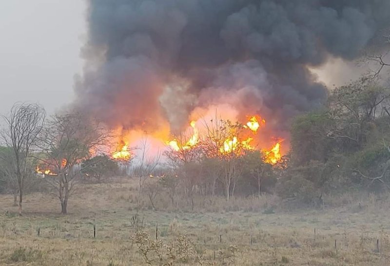 Prefeitura de Braúna decreta estado de emergência após incêndio na área da Aldeia Indígena Icatu