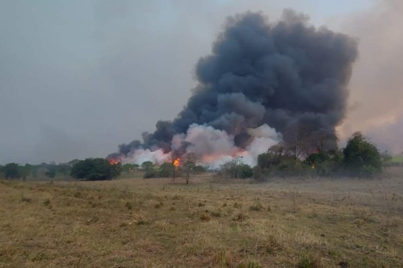 Grêmio Estudantil organiza campanha de doação de leite para famílias da Reserva Icatu após incêndio