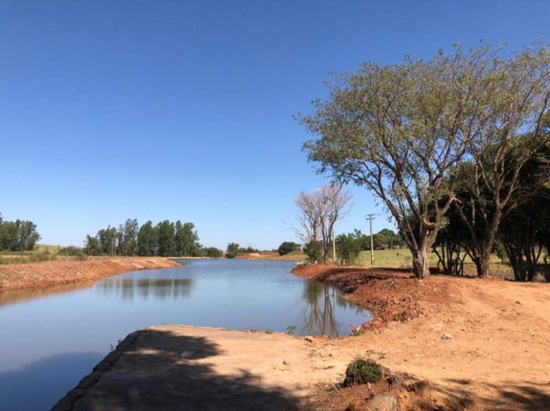 Cidade da região decreta situação de emergência por escassez de produção e abastecimento de água