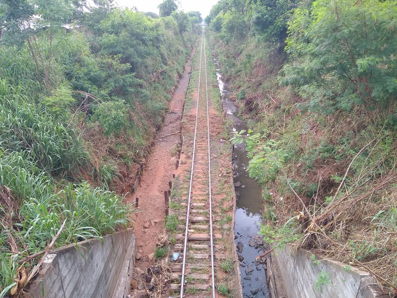 Malha Oeste: transporte ferroviário de passageiros pode ganhar força