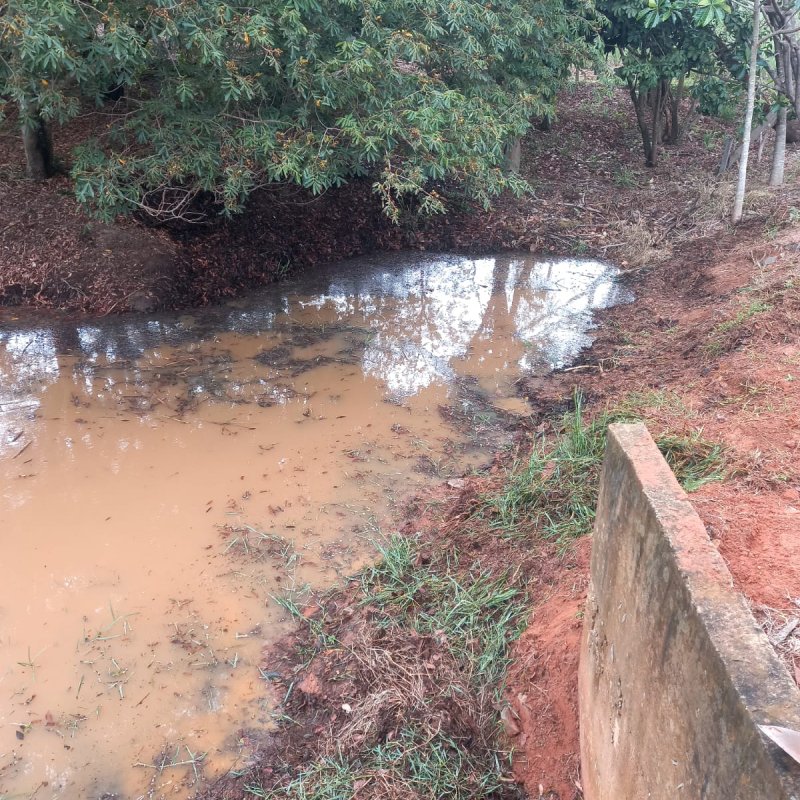 Consórcio Intermunicipal realiza monitoramento e limpeza na nascente do Ribeirão Lajeado