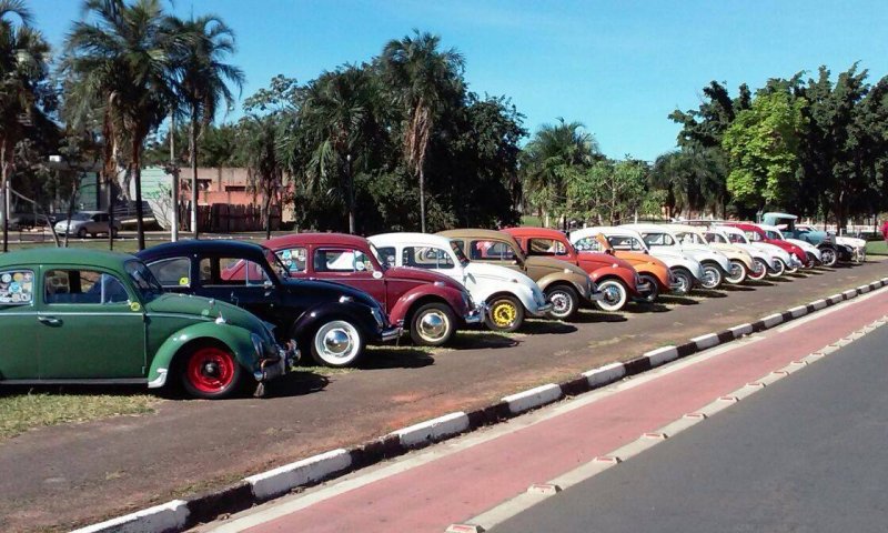 22 de junho: Dia mundial do Fusca homenageia um dos modelos mais populares da indústria automotiva