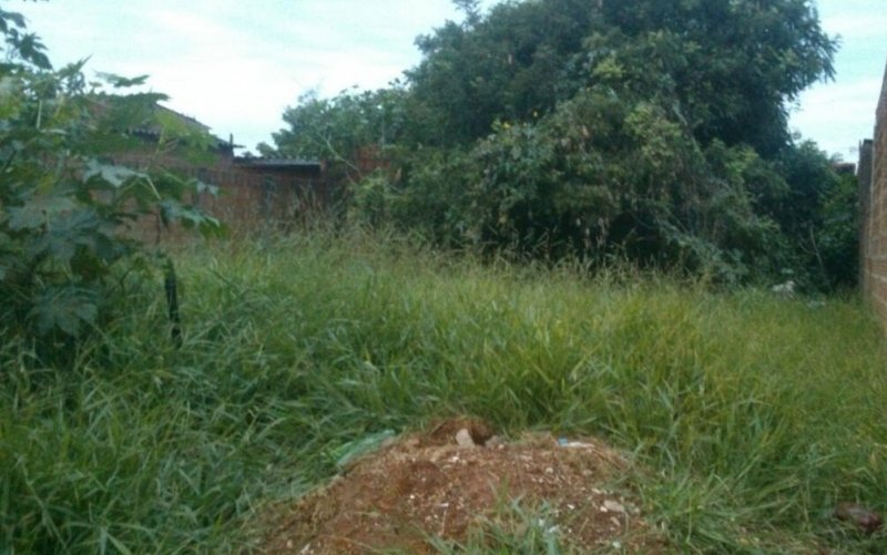 Catador de recicláveis encontra corpo de recém-nascido em terreno