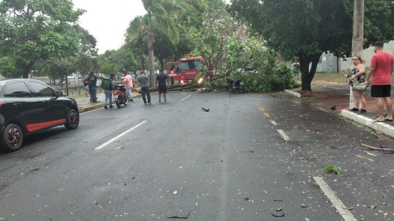 Morre motociclista atingido por árvore durante tempestade