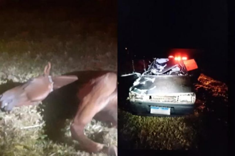 Carro atropela cavalo e mulher morre em acidente em rodovia da região