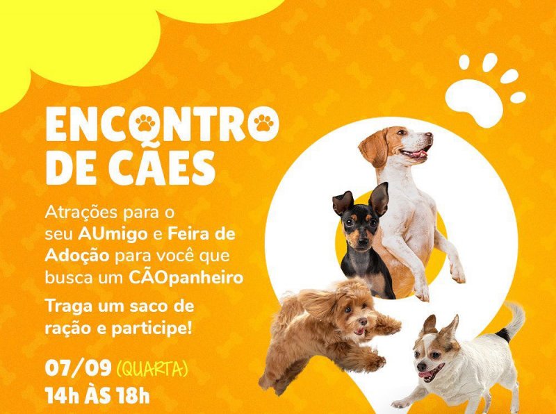 Encontro de cães acontece neste feriado em Araçatuba