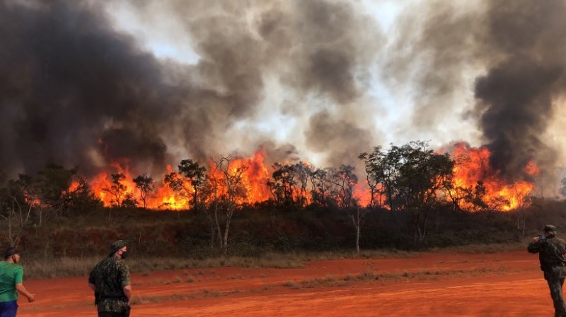 Temperatura pode chegar a 40°C no Estado de SP e Defesa Civil alerta para risco de incêndios