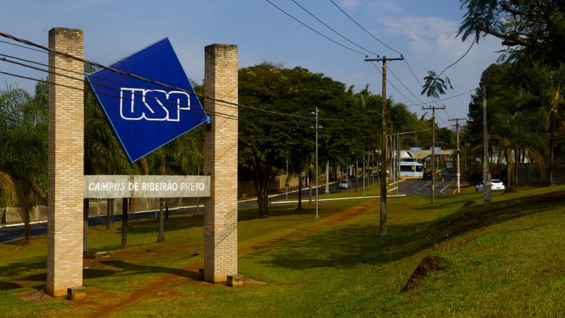 Professores decidem voltar às aulas e greve na USP começa a perder adesão