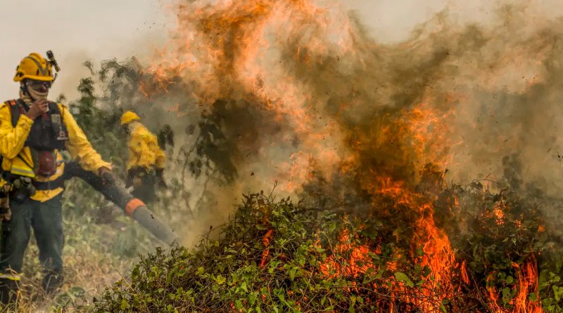 Fogo já consumiu 1,3 milhão de hectares e volta a aumentar no Pantanal