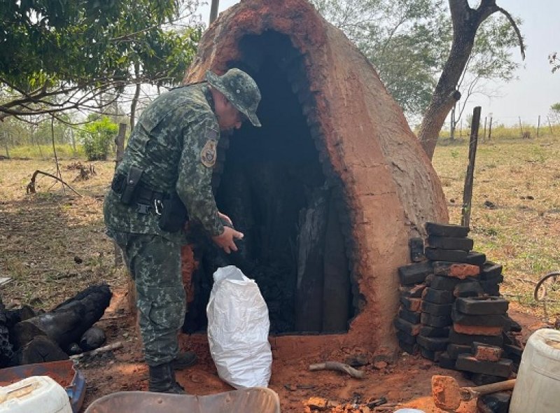 Polícia Ambiental apreende mais de 400kg de carvão produzido irregularmente