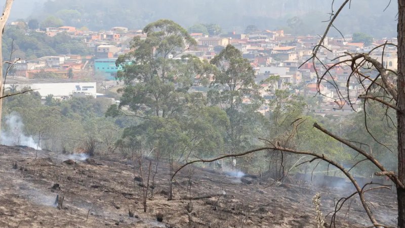 Estado de São Paulo amanhece com 11 focos de incêndio