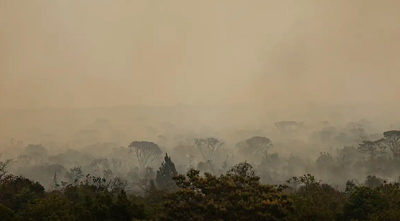 Registro de queimadas em setembro é 30% maior que a média do mês