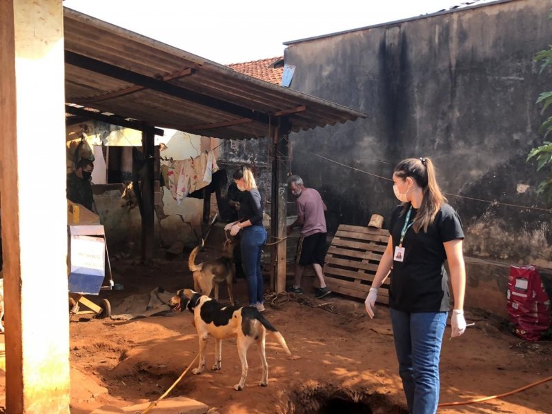 Guarda e PM resgatam 30 cães em situação de maus-tratos na região